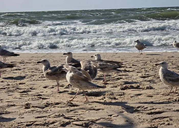 Sloneczny アパート ウストロニエ・モルスキエ